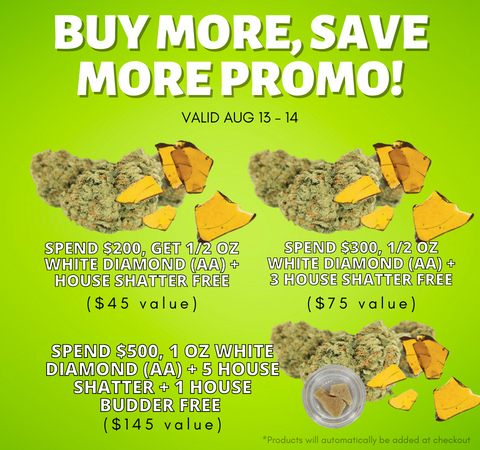 BG Buy More Save More Promo Mobile Banner