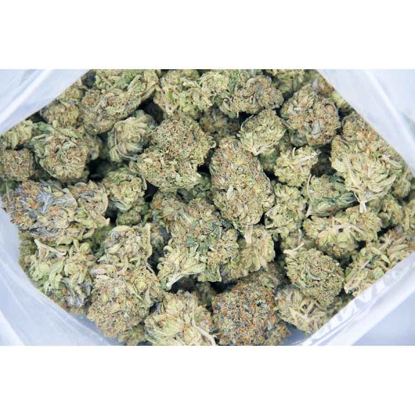 kings kush aa bag bgbso