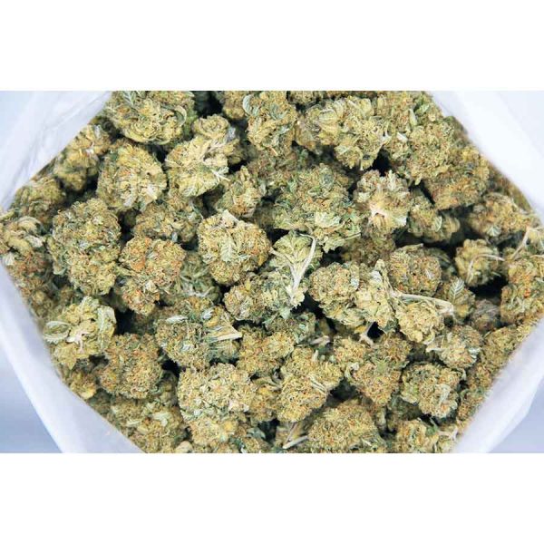 peanut butter breath aa bag bgbso