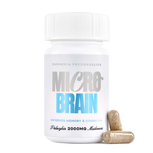 Micro Brain 2000MG Front EP whitebg 1