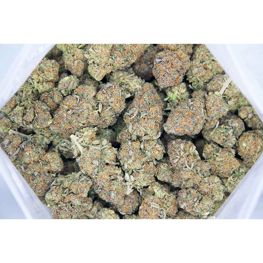Flowering and yield of Peanut Butter Breath feminized weed seeds