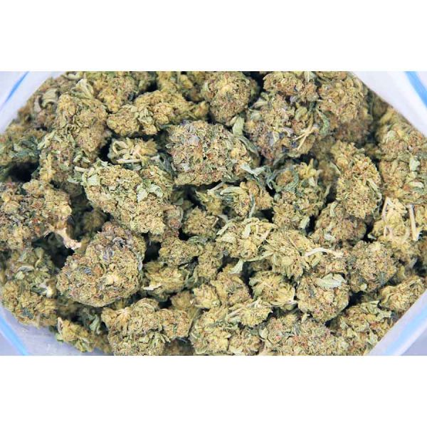 AK 47 AA bag bgbso