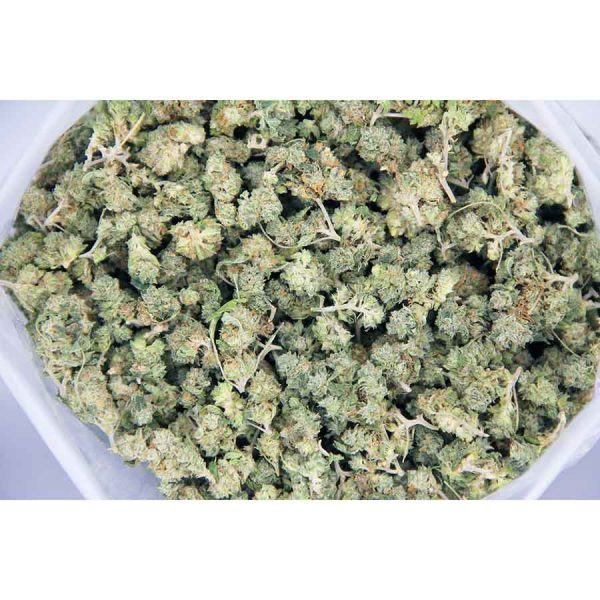 Mob Boss popcorn AA bag bgbso
