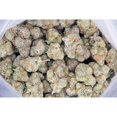 Zookies AAAAbag bgbso