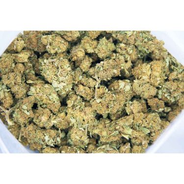 Bubblegum smalls AA bag bgbso