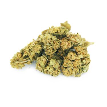 Hawaiian smalls AA bgbso