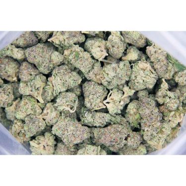 Super Lemon Haze AAA bag bgbso