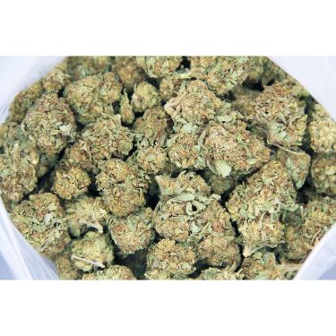 Amnesia Haze AA bag bgbso