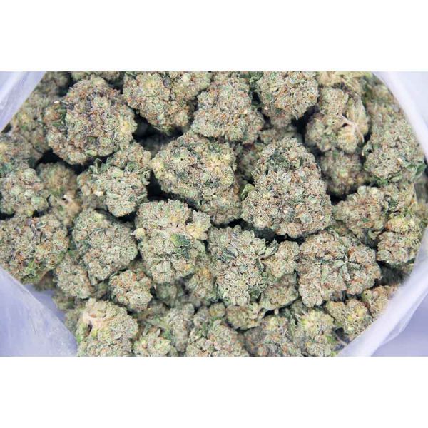 Aurora AAA bag bgbso