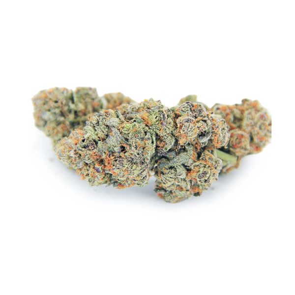 Orange Kush Breath AAAA bgbso