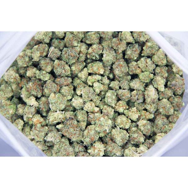 Royal AK popcorn AAA bag bgbso