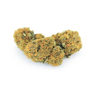 Sensi Star AA bgbso