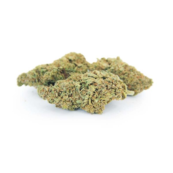 Tangie AA bgbso