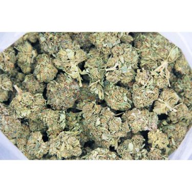 Bubblegum AA bag bgbso