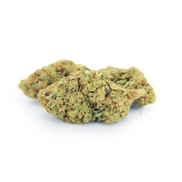 Dutch Treat AA bgbso