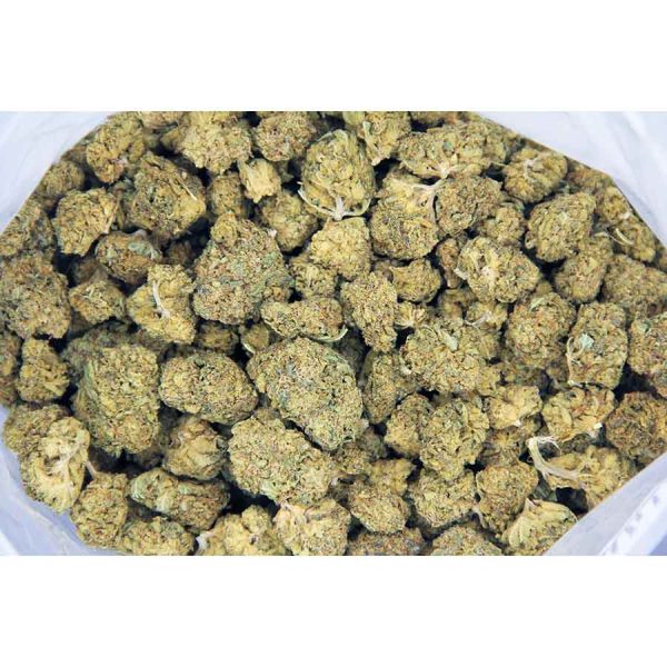 Phantom OG (mediums) AA bag bgbso