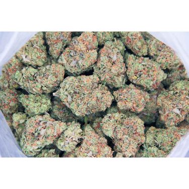 Moby Dick AAA bag bgbso