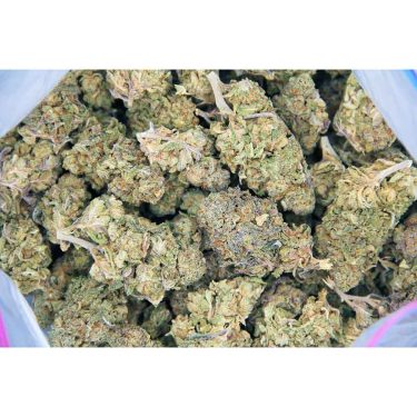 Thin Mint AA bag bgbso