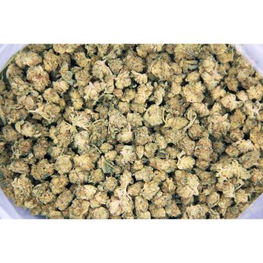Girl Scout Cookies (popcorn) AA bag bgbso