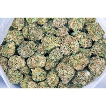 Hulkberry AA bag bgbso