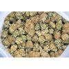 King Tut AA bag bgbso