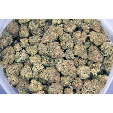 Maui Wowie AA bag bgbso