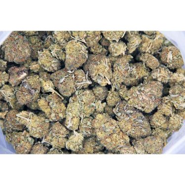 Blueberry AA bag bgbso