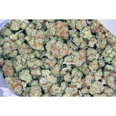 Jack Herer AA bag bgbso