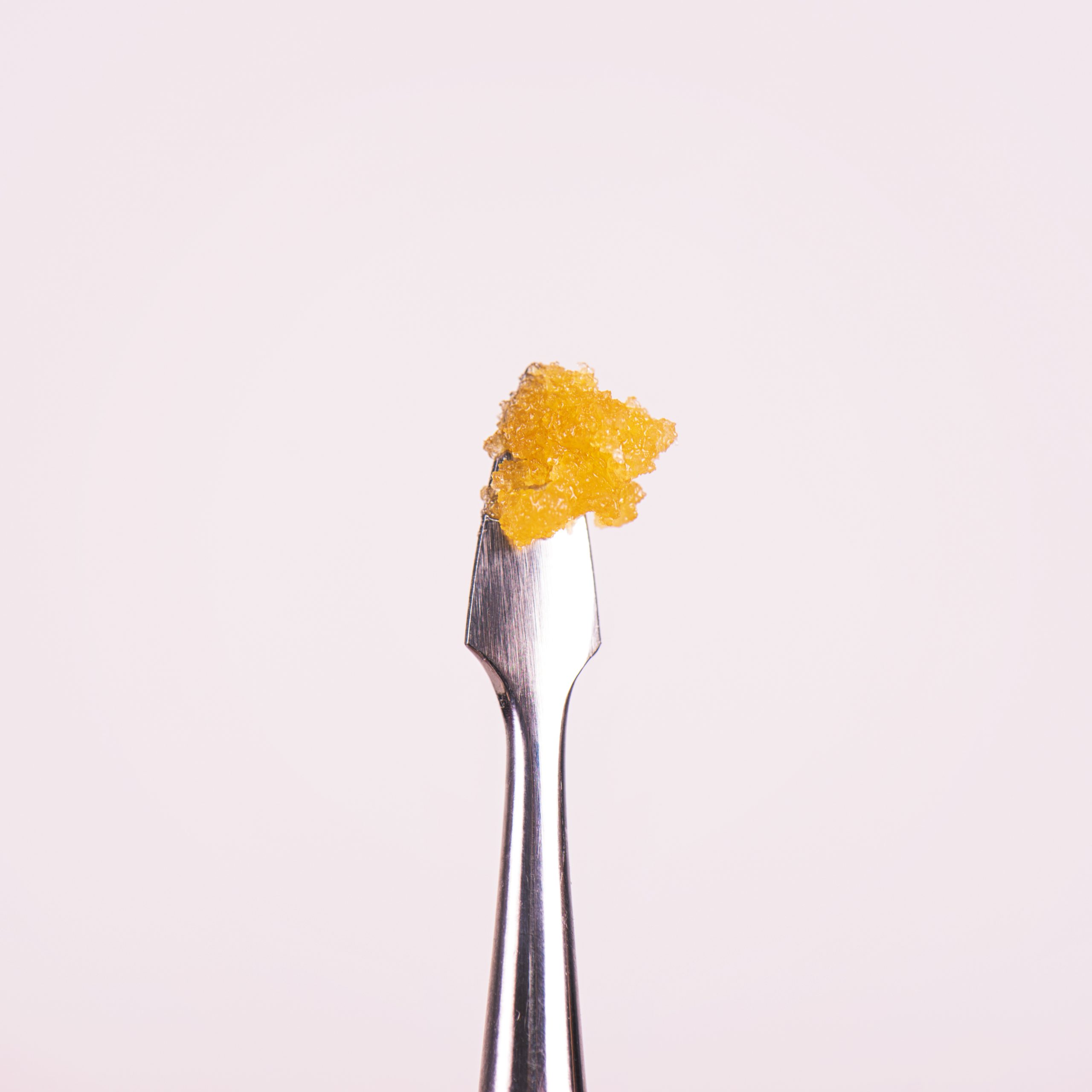 Cannabis concentrate live resin (extracted from medical marijuana) on a dabbing tool