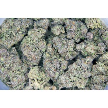 Grizzly Purple Kush AAA bag bgbso