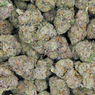 Purple Bruce Banner AAAA bag bgbso