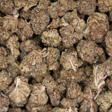 Pink Kush (mediums) AA (1) copy BAG