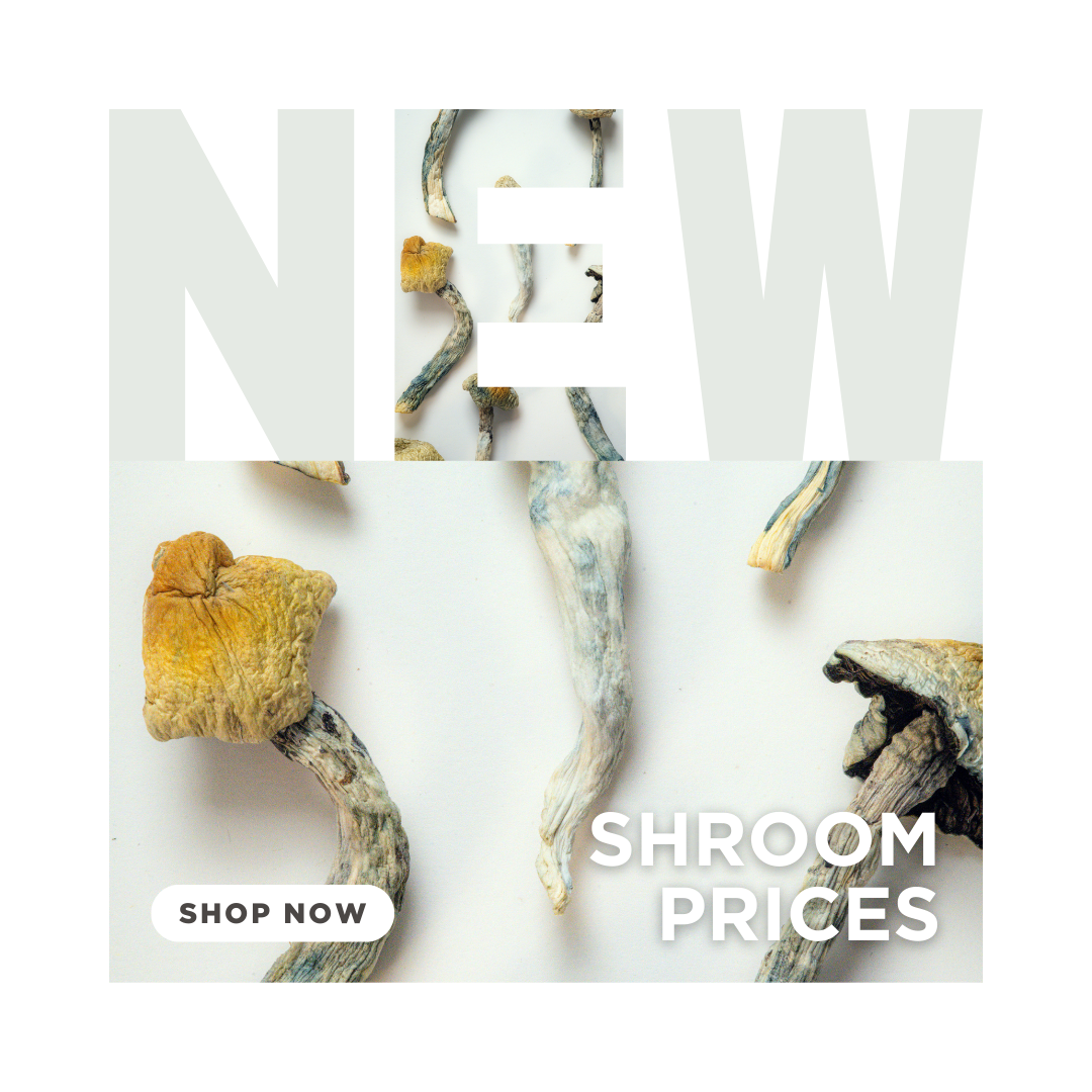 SHROOM PRICES