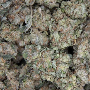 Bubba Kush AA (1) copy