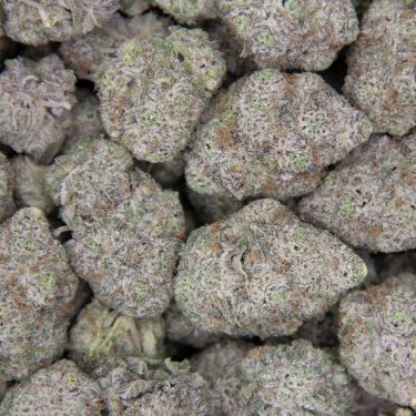 Granddaddy Purple AAAA (1) copy