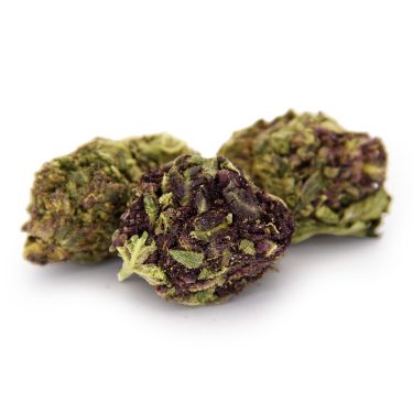 Purple Urkle AA copy