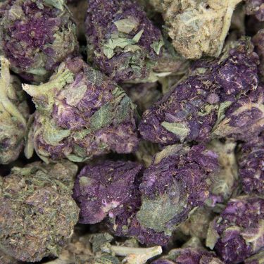 Purple Urkle AA copy BAG