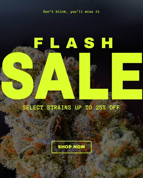 flash sale 2 mob