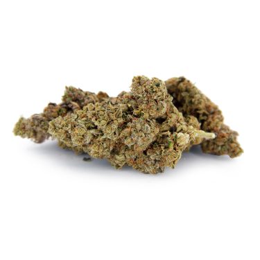 Girl Scout Cookies AA (1) copy