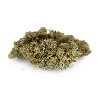 Skywalker OG AA (1) copy