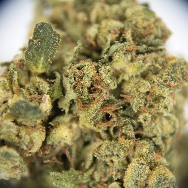 Sour Diesel AA (1) copy