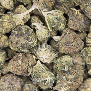 Bubble Kush AA BAG