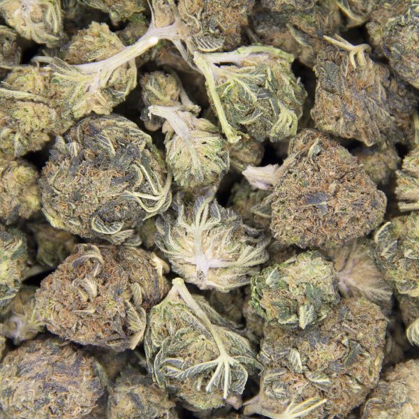 Bubble Kush AA BAG