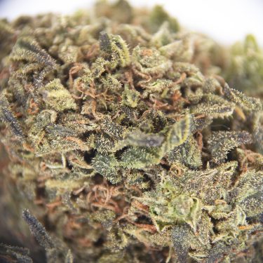 Bubble Kush AA ZOOM