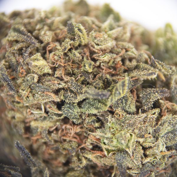 Bubble Kush AA ZOOM