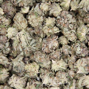 Cali Bubba (popcorn) AA copy BAG