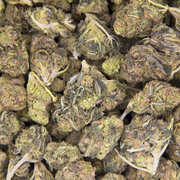 Deadhead OG AA BAG