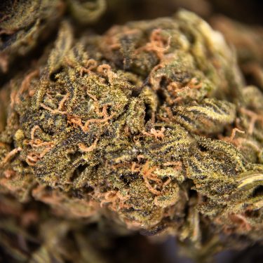 Deadhead OG AA ZOOM
