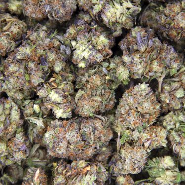 Death Bubba AA BAG