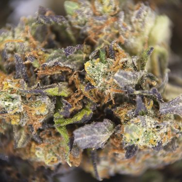 Death Bubba AA ZOOM